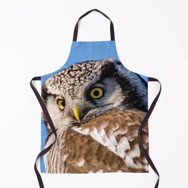 Item preview, Northern Hawk Owl designed and sold by Owl-Images.