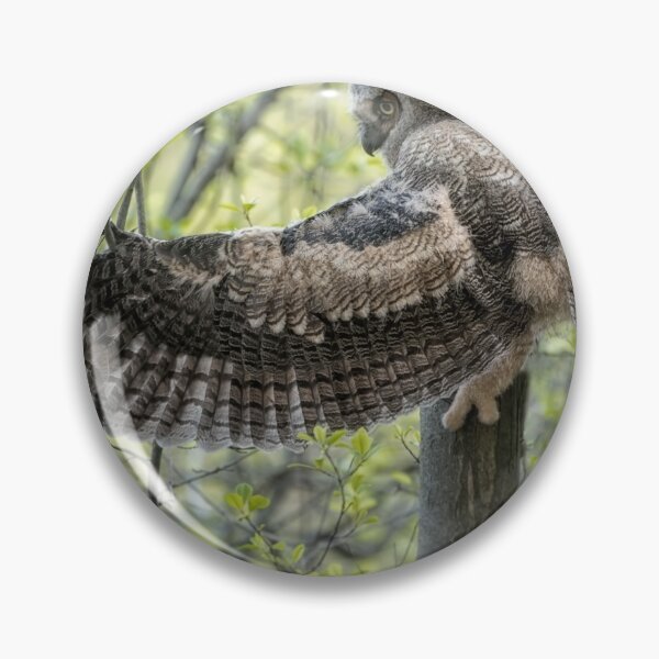 Item preview, Great Horned Owl designed and sold by Owl-Images.
