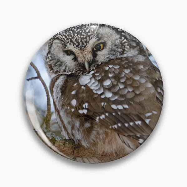 Item preview, Boreal Owl designed and sold by Owl-Images.