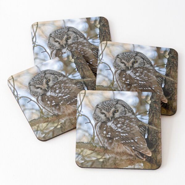 Item preview, Boreal Owl designed and sold by Owl-Images.