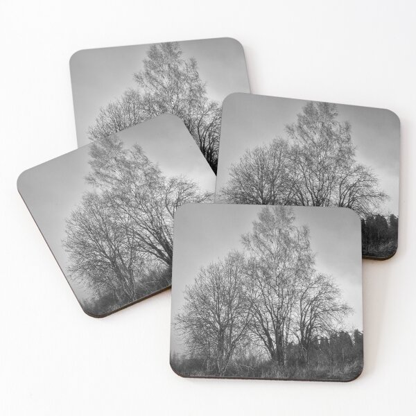 Item preview, Tree musceters bw designed and sold by Jouko Lehto Photography.