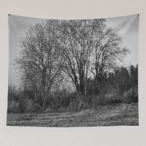 Item preview, Tree musceters bw designed and sold by Jouko Lehto Photography.