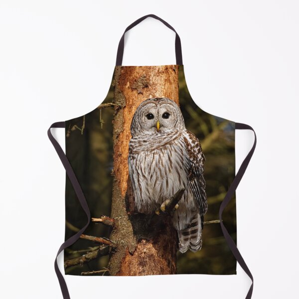 Item preview, Barred Owl On Pine designed and sold by Owl-Images.