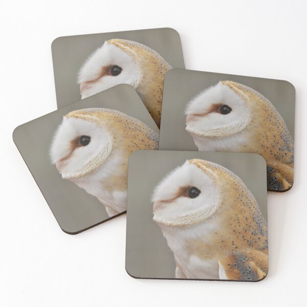 Item preview, Barn Owl Portrait designed and sold by Owl-Images.