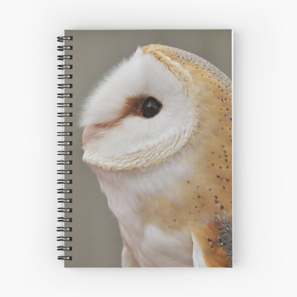 Item preview, Barn Owl Portrait designed and sold by Owl-Images.