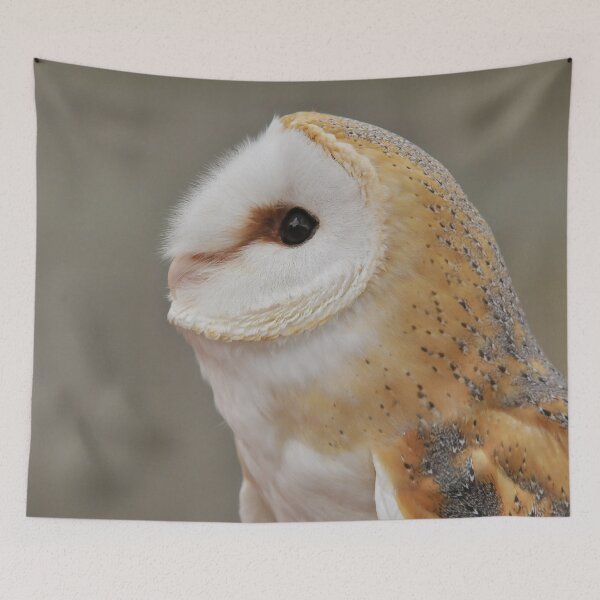 Item preview, Barn Owl Portrait designed and sold by Owl-Images.