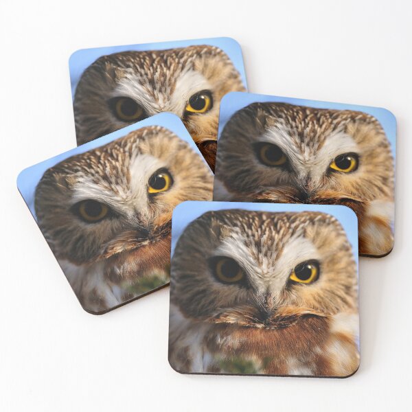Item preview, Northern Saw-whet Owl designed and sold by Owl-Images.