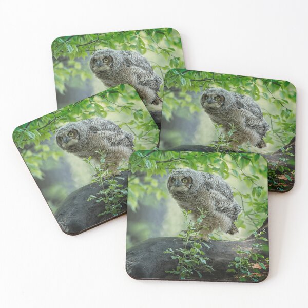 Item preview, Great Horned Owlet designed and sold by Owl-Images.