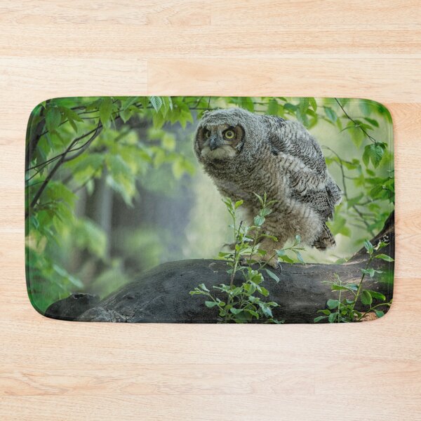 Item preview, Great Horned Owlet designed and sold by Owl-Images.