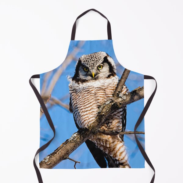 Item preview, Northern Hawk Owl designed and sold by Owl-Images.