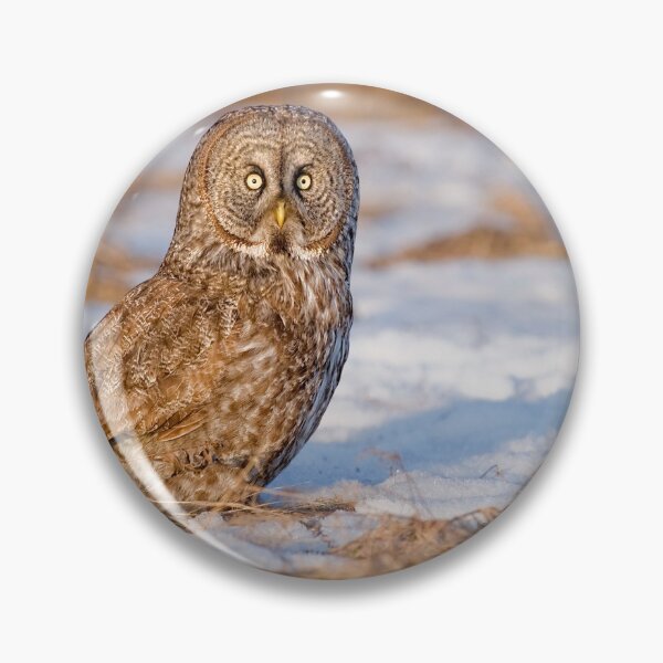 Item preview, Gran búho gris designed and sold by Owl-Images.