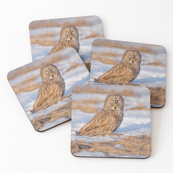 Item preview, Great Grey Owl designed and sold by Owl-Images.