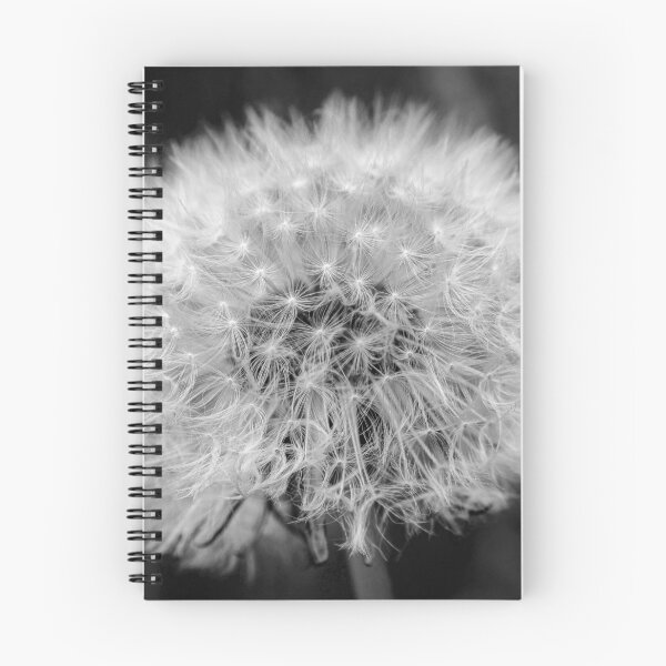Item preview, B&W Macro of a Dandelion designed and sold by soleilartco.