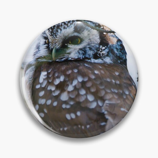 Item preview, Boreal Owl designed and sold by Owl-Images.