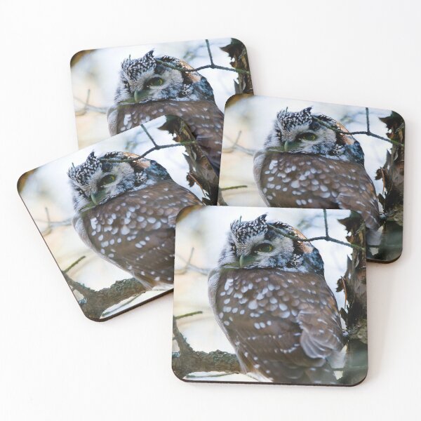 Item preview, Boreal Owl designed and sold by Owl-Images.