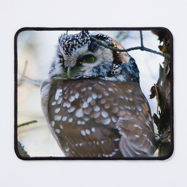Item preview, Boreal Owl designed and sold by Owl-Images.