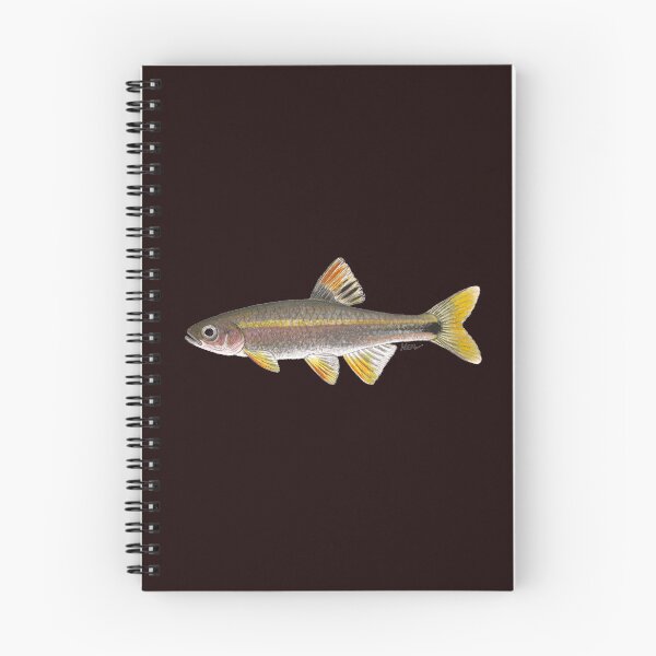 Item preview, Tricolor Shiner (Cyprinella trichoistia) designed and sold by LeakyCanoeArt.