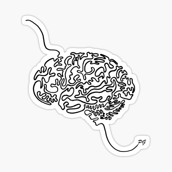 "One Single Line Cortex" Sticker by PeggyGerardin Redbubble