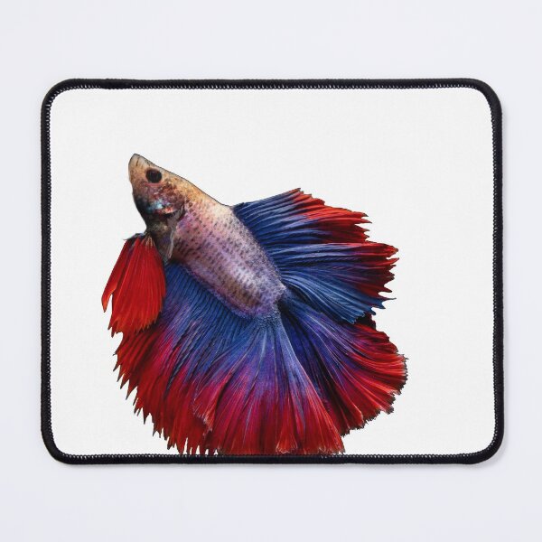 Item preview, Betta Fish designed and sold by 0waste.