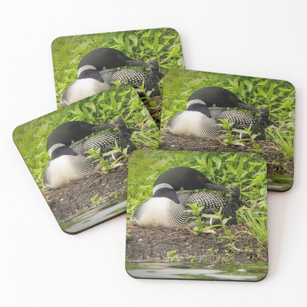 Item preview, Nesting Loons 5 designed and sold by Loon-Images.