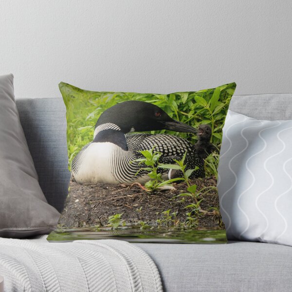 Item preview, Nesting Loons 5 designed and sold by Loon-Images.