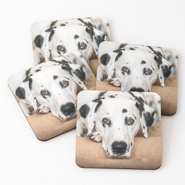 Item preview, Dalmatian dog, nature, animal designed and sold by zero-g.