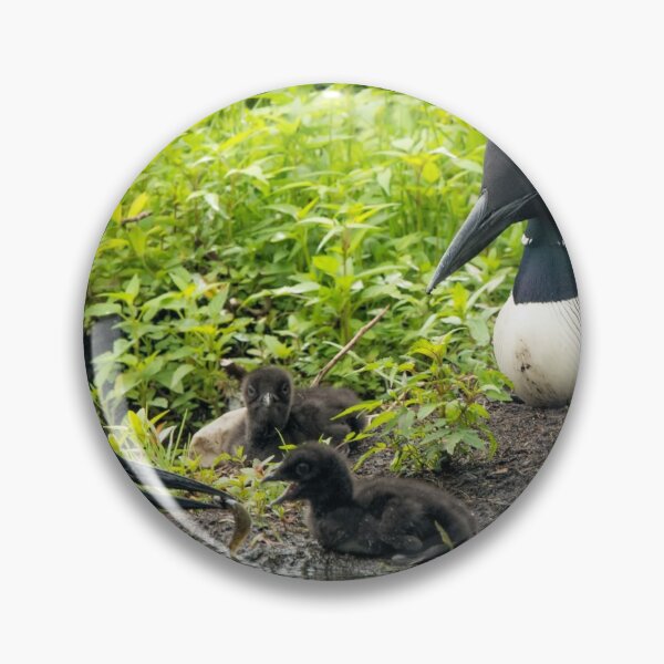 Item preview, Nesting Loons 4 designed and sold by Loon-Images.