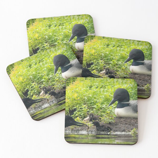 Item preview, Nesting Loons 4 designed and sold by Loon-Images.