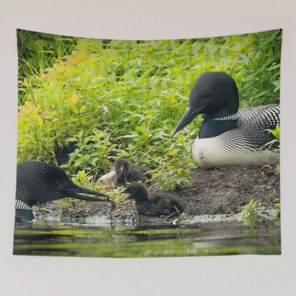 Item preview, Nesting Loons 4 designed and sold by Loon-Images.