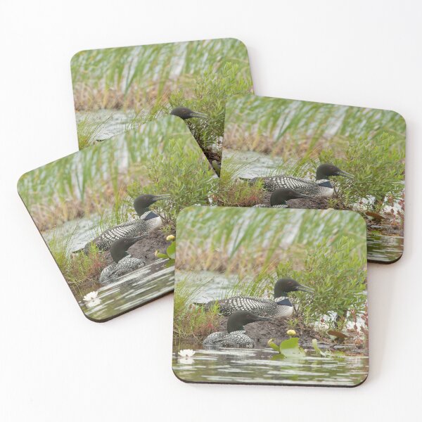 Item preview, Nesting Loons 3 designed and sold by Loon-Images.