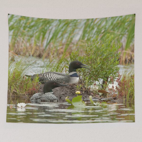 Item preview, Nesting Loons 3 designed and sold by Loon-Images.