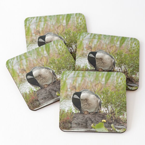 Item preview, Nesting Loons 1 designed and sold by Loon-Images.