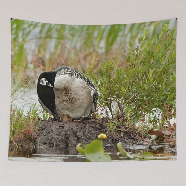 Item preview, Nesting Loons 1 designed and sold by Loon-Images.
