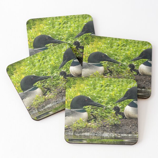 Item preview, Nesting Loons 2 designed and sold by Loon-Images.