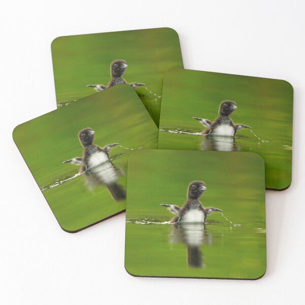 Item preview, Loon Chick 11 designed and sold by Loon-Images.