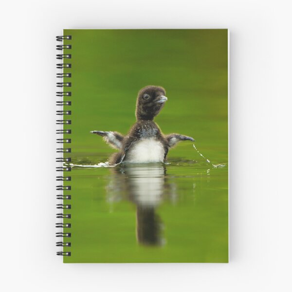 Item preview, Loon Chick 11 designed and sold by Loon-Images.