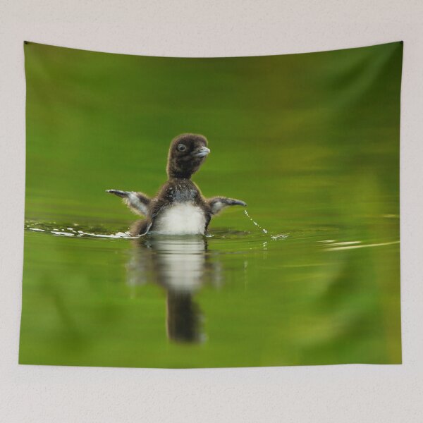 Item preview, Loon Chick 11 designed and sold by Loon-Images.