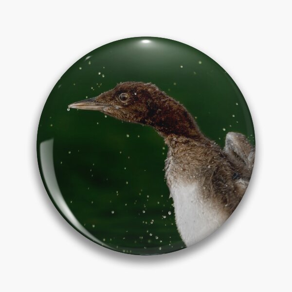 Item preview, Loon Chick 10 designed and sold by Loon-Images.