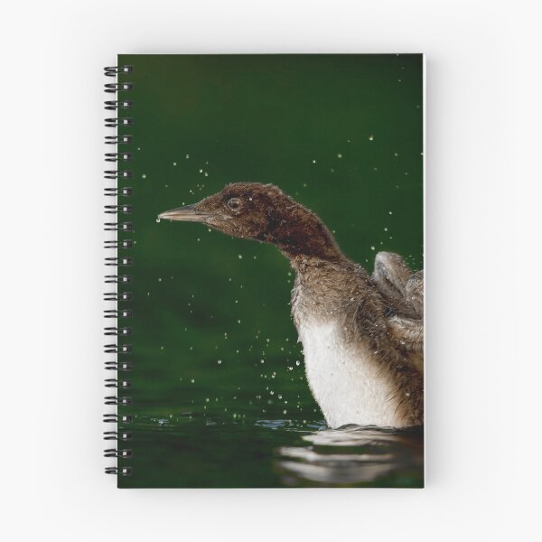 Item preview, Loon Chick 10 designed and sold by Loon-Images.