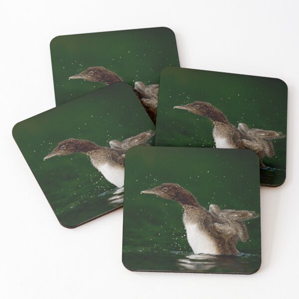 Item preview, Loon Chick 10 designed and sold by Loon-Images.