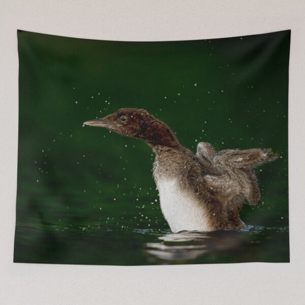 Item preview, Loon Chick 10 designed and sold by Loon-Images.