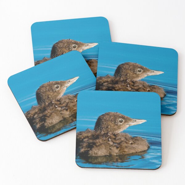 Item preview, Loon Chick 9 designed and sold by Loon-Images.