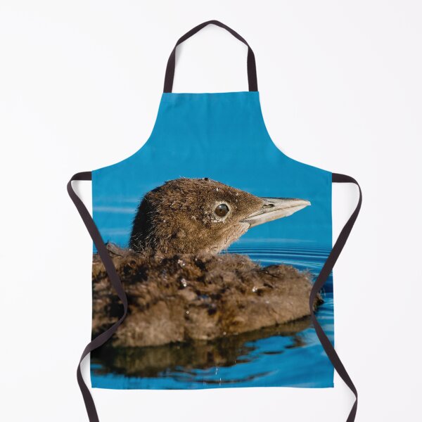 Item preview, Loon Chick 9 designed and sold by Loon-Images.