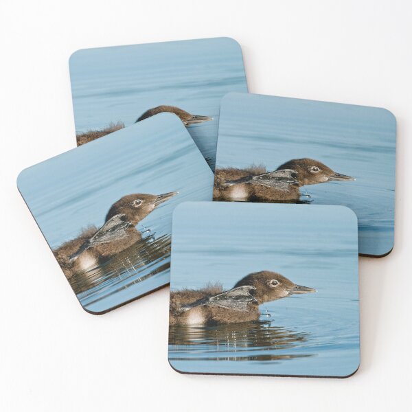 Item preview, Loon Chick 8 designed and sold by Loon-Images.