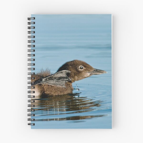 Item preview, Loon Chick 8 designed and sold by Loon-Images.