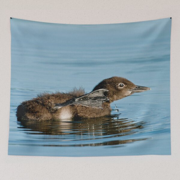 Item preview, Loon Chick 8 designed and sold by Loon-Images.