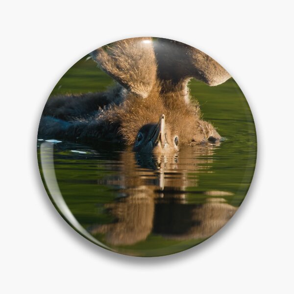 Item preview, Loon Chick 7 designed and sold by Loon-Images.