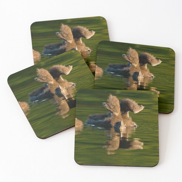 Item preview, Loon Chick 7 designed and sold by Loon-Images.