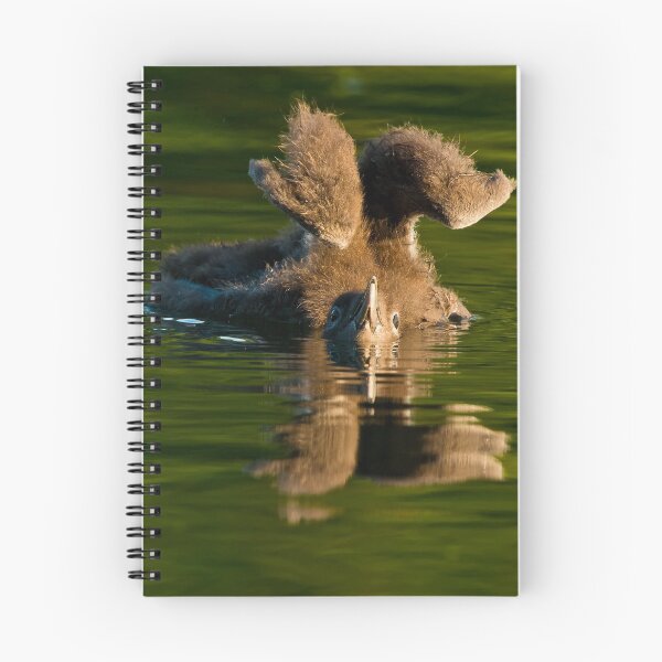 Item preview, Loon Chick 7 designed and sold by Loon-Images.