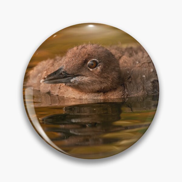Item preview, Loon Chick 5 designed and sold by Loon-Images.